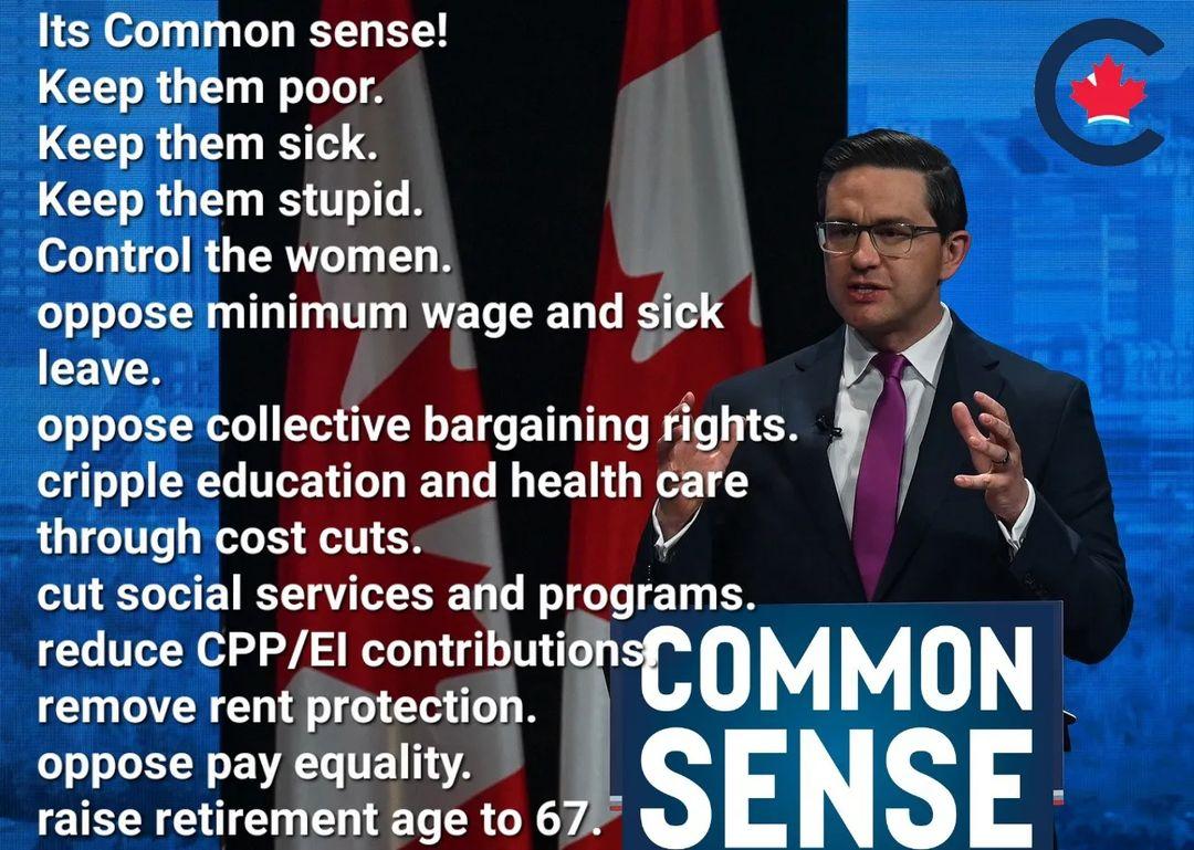 BREAKING! After 8 years of the PM's success, the @PierrePoilievre platform has been released!