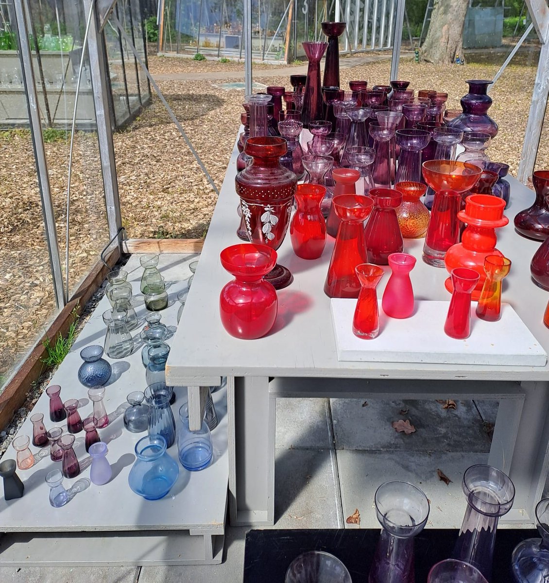 Het kan weer: heerlijk genieten van het zomerse weer. Je bent van harte welkom in de tuin van het Nationaal Glasmuseum met in de kassen een diversiteit aan kleurrijke Bloembolvazen.