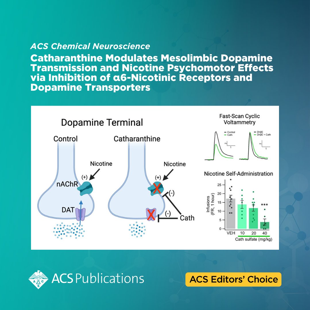 'Catharanthine Modulates Mesolimbic Dopamine Transmission and Nicotine Psychomotor Effects via Inhibition of α6-Nicotinic Receptors and Dopamine Transporters' from ACS Chemical Neuroscience is currently free to read as an #ACSEditorsChoice. go.acs.org/97L