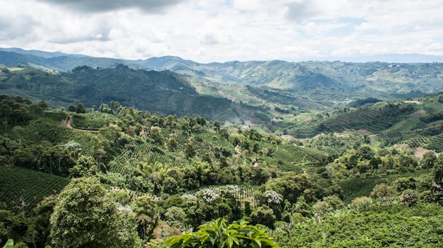 MEASURING IMPACT OF COFFEE: A new scientific review offers recommendations on how to measure the environmental impact of coffee – with the hope of also standardizing how this is done in the future. 
ow.ly/XhBW50RqQ7p