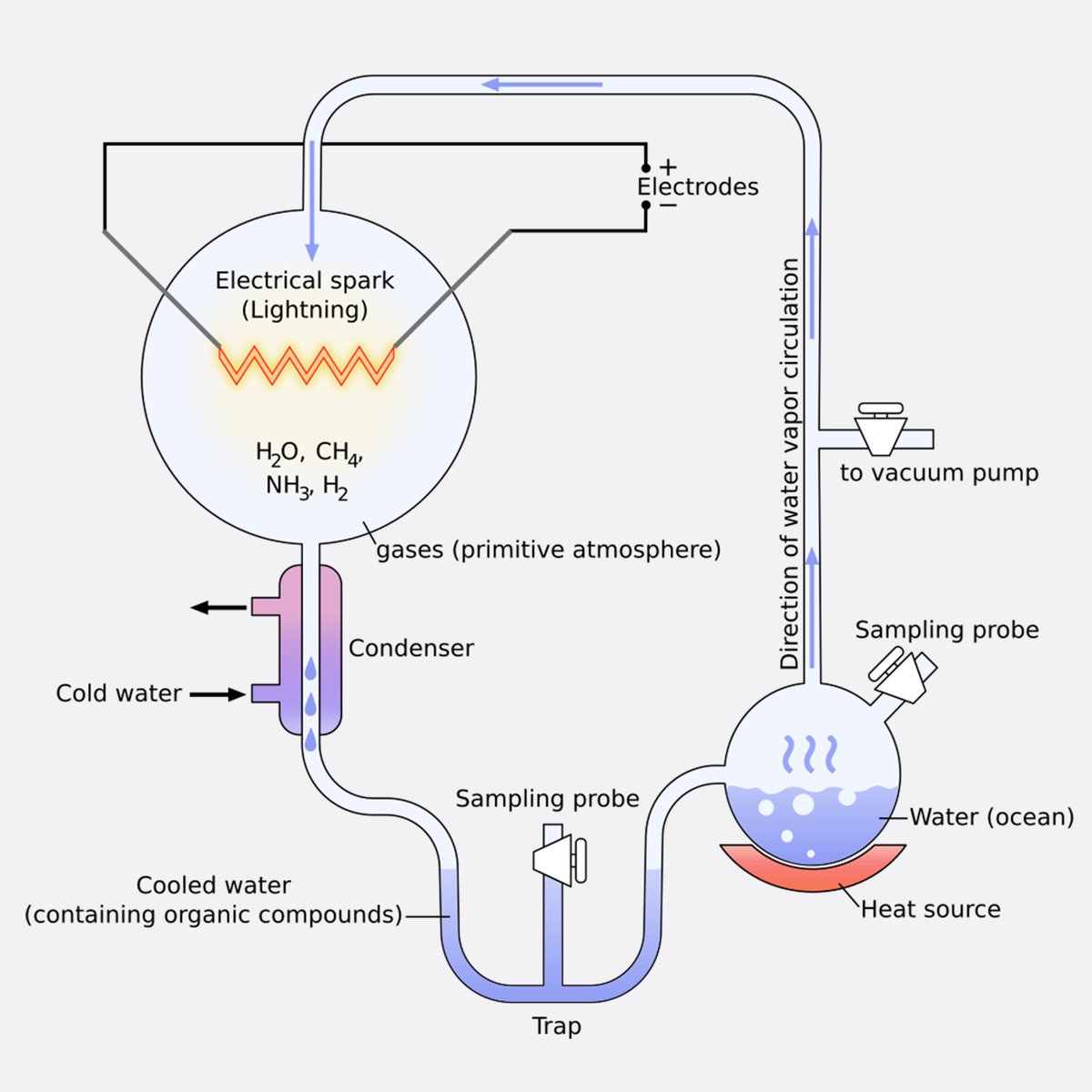 The Miller-Urey experiment was a groundbreaking scientific study conducted in 1952 by Stanley Miller under the supervision of Harold Urey at the University of Chicago. The experiment was designed to test the chemical origins of life under conditions thought to resemble those of