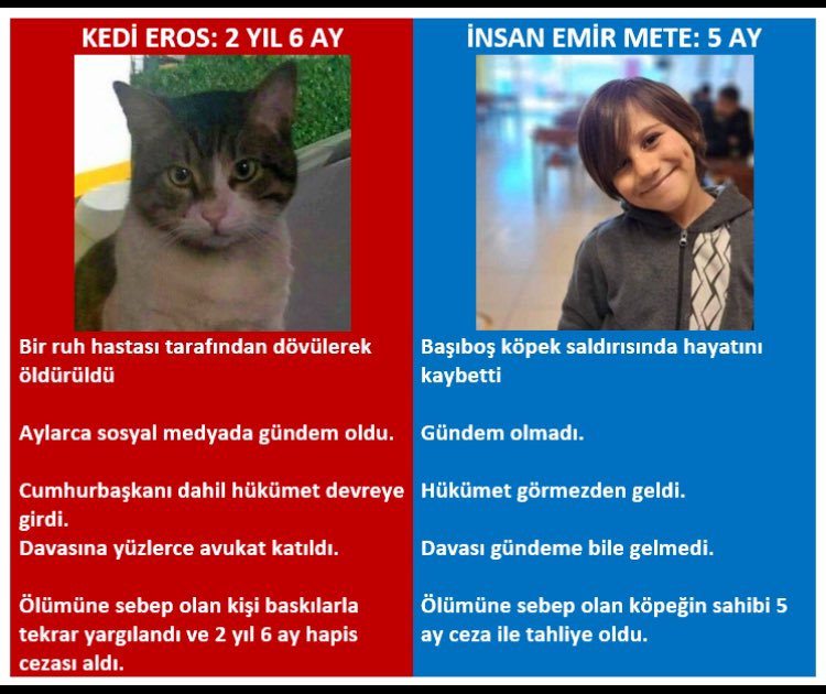biyomemo's tweet photo. @RumeysaKadak Keşke bunların takipçisi olsaydınız diyeceğim ama, nerede.
size oy veren gariban insanların çocuklarını 5199 yasayla #basibos ite köpeğe yem ettiniz https://t.co/a84awaEvgM