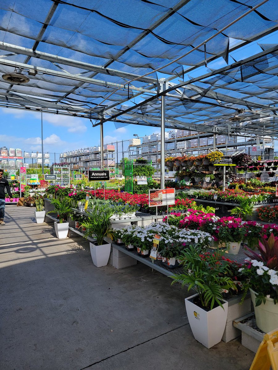 Gary Murphy tweet media