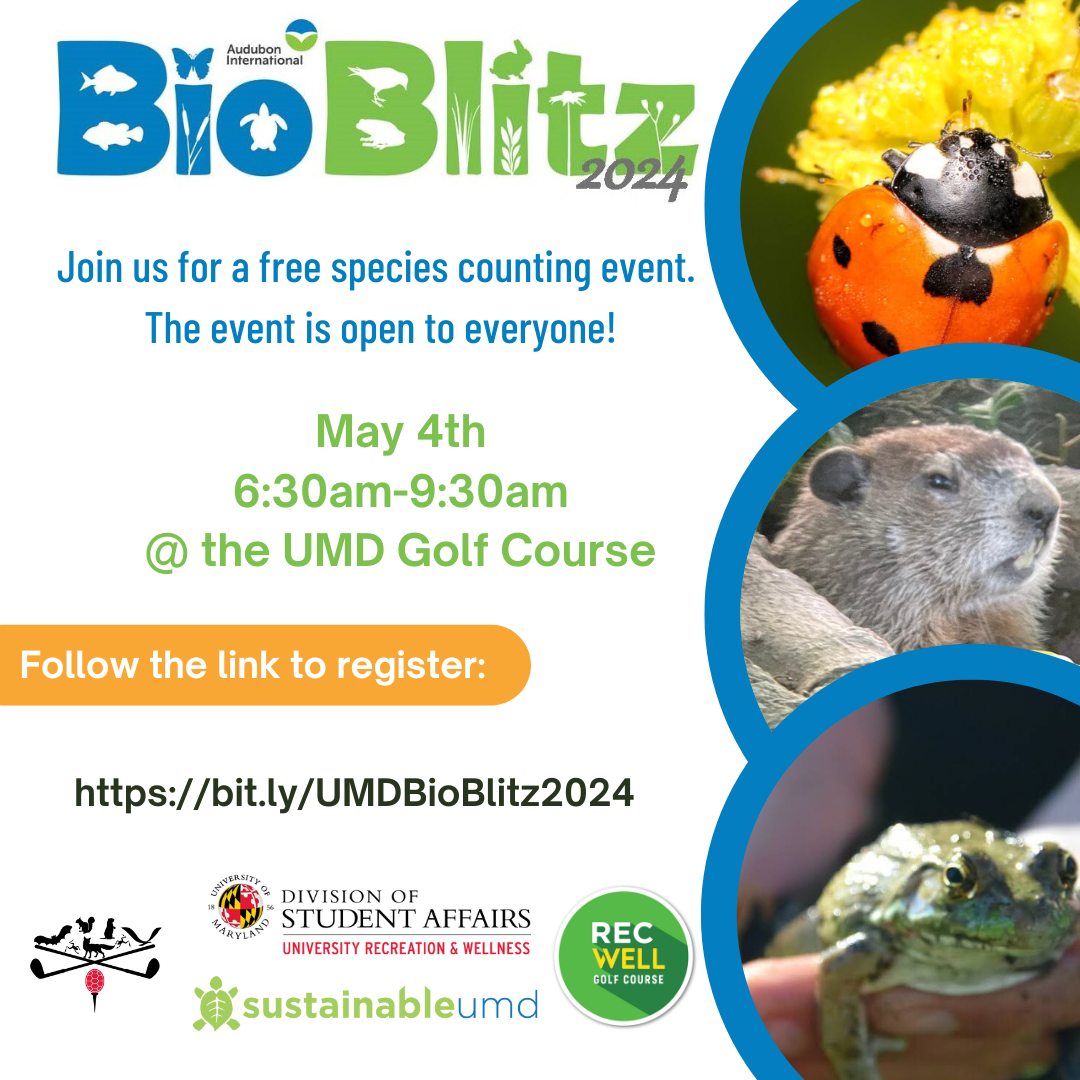 Represent #UMD in the BioBlitz annual species-counting competition this Saturday, May 4 at @UMDGolfCourse! Last year, Terps won recognition in two of the three judged categories against other members of Audubon International. For more info and to sign up: bit.ly/UMDBioBlitz2024