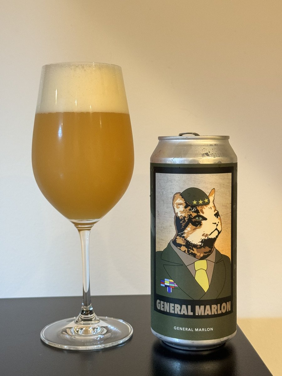 マーロンちゃんのラベルがカワイイGENRAL MARLON / EVIL TWIN BREWING
度数12%のインペリアル！柑橘系で美味しいんだけど度数高くてこの量は後半フラフラ😵するぞ！