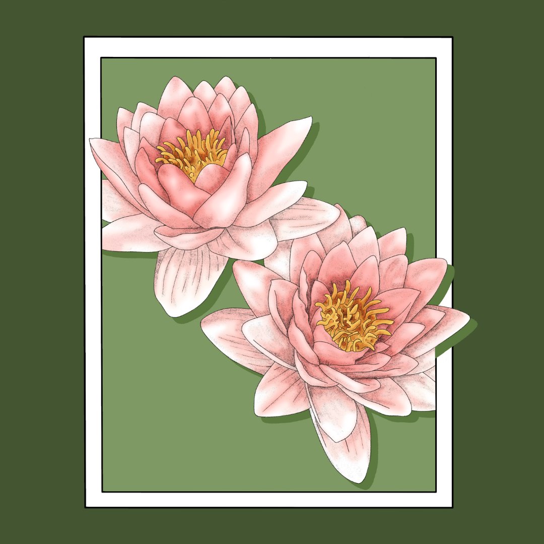 Finished July's Birth Flower: Water Lily!
#hannahreestudio #artist #smallbusiness #artsmallbusiness #drawing #painting #artwork #illustration #artisticdiscovery