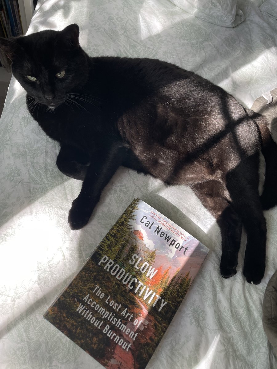 Taking it easy and learning to avoid burnout and manage our workload this #MeowMonday with Cal Newport’s recent release, SLOW PRODUCTIVITY. What are you reading this lazy Monday? 📚