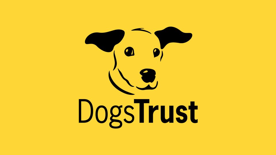 Vet Admin Assistant with @DogsTrust in #Clerkenwell

Info/Apply: ow.ly/qIcG50RoYAo

#AnimalJobs #NorthLondonJobs #FocusOnNorthLondon