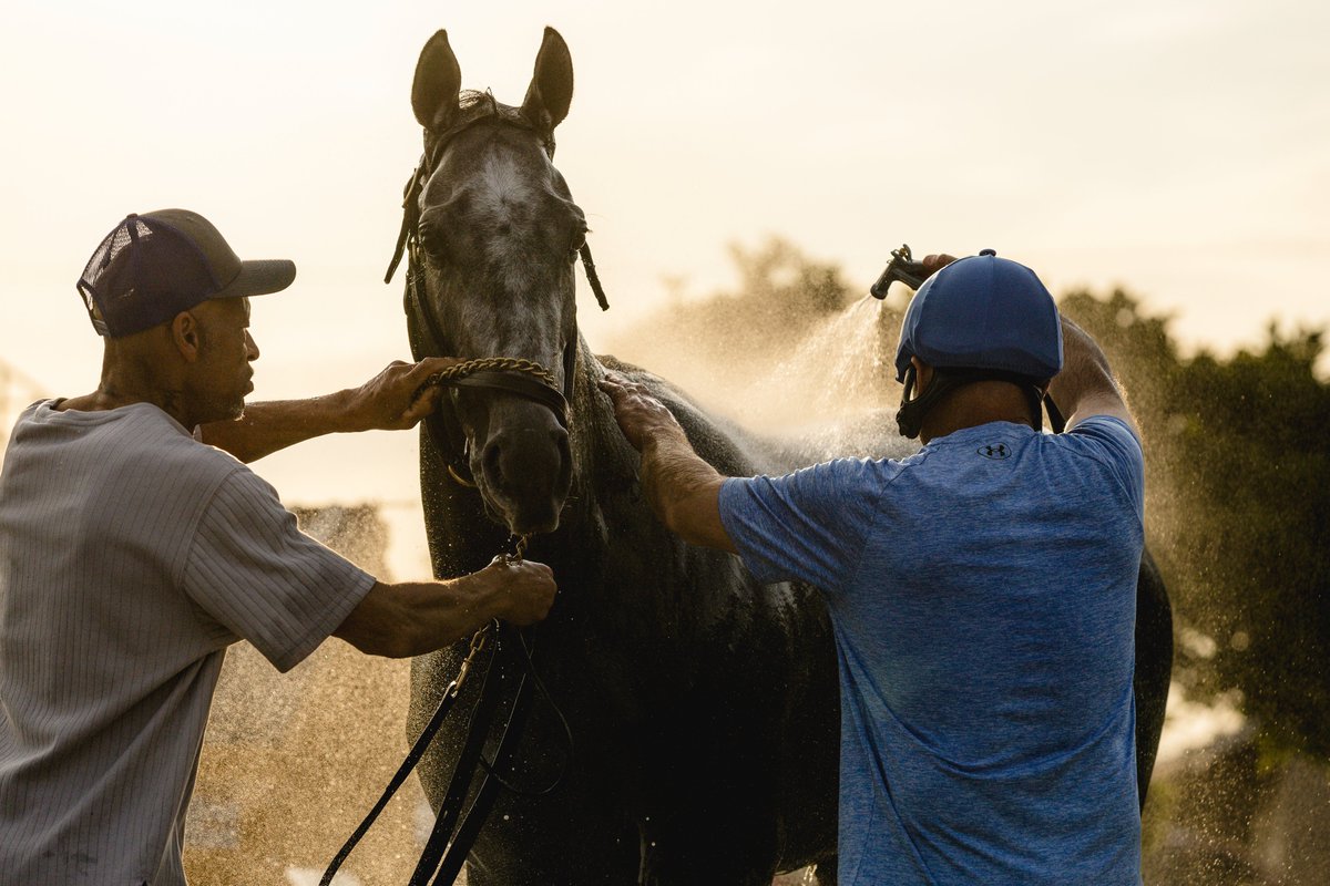 KentuckyDerby tweet picture