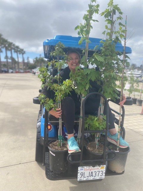 The City of Coronado gave away 107 trees to residents to support a greener, more resilient community! Thank you to everyone who participated in our Arbor Day tree give-a-way!  #coronadoca #trees #localgov