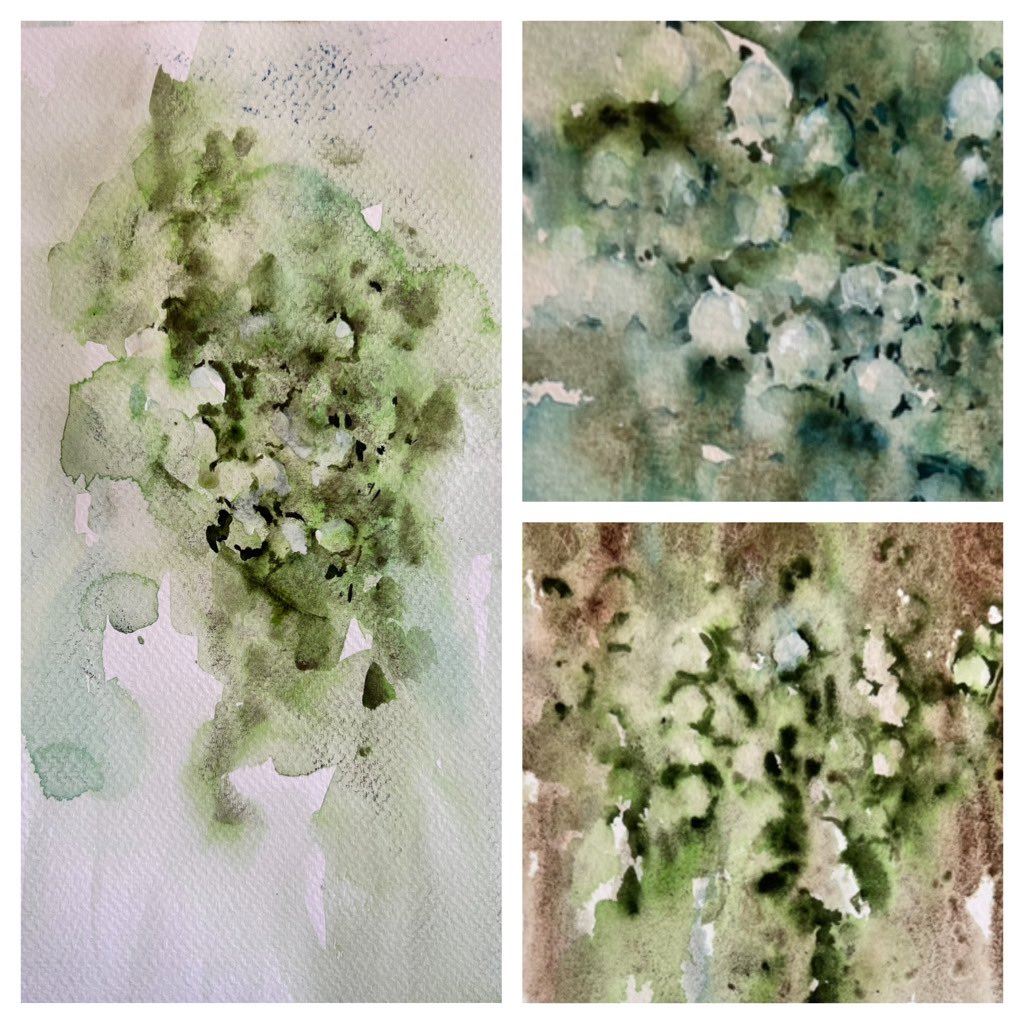 Lily of the Valley watercolours grace my easel today. Inspired by the plants in my garden #jeanhaineswatercolours #art