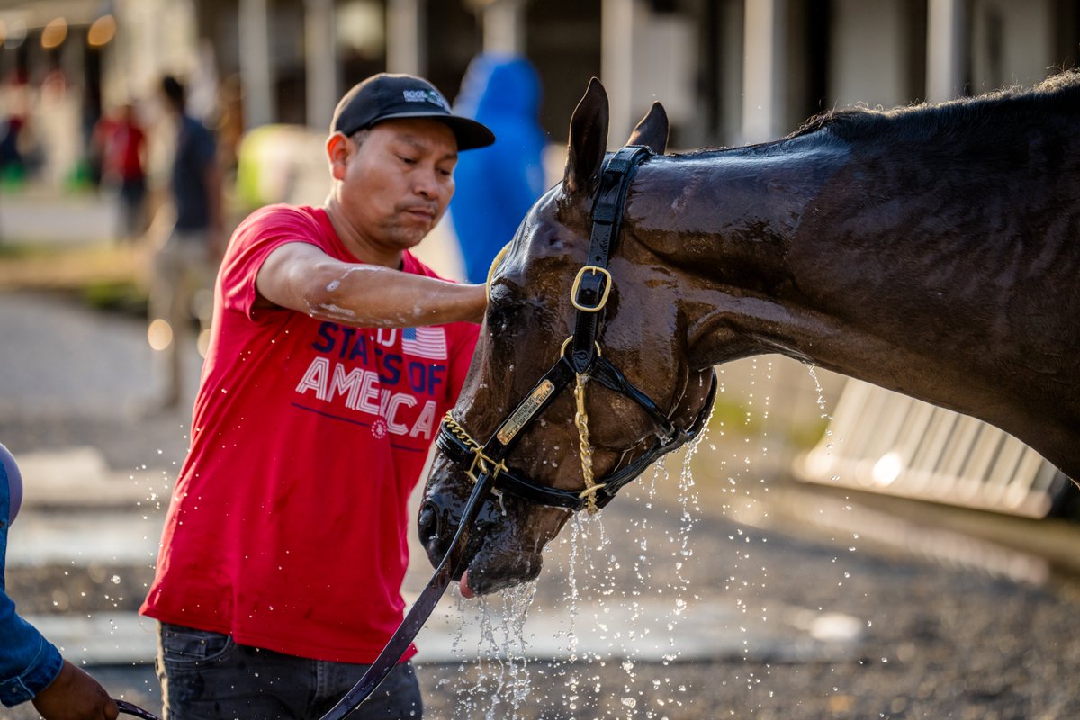 KentuckyDerby tweet picture