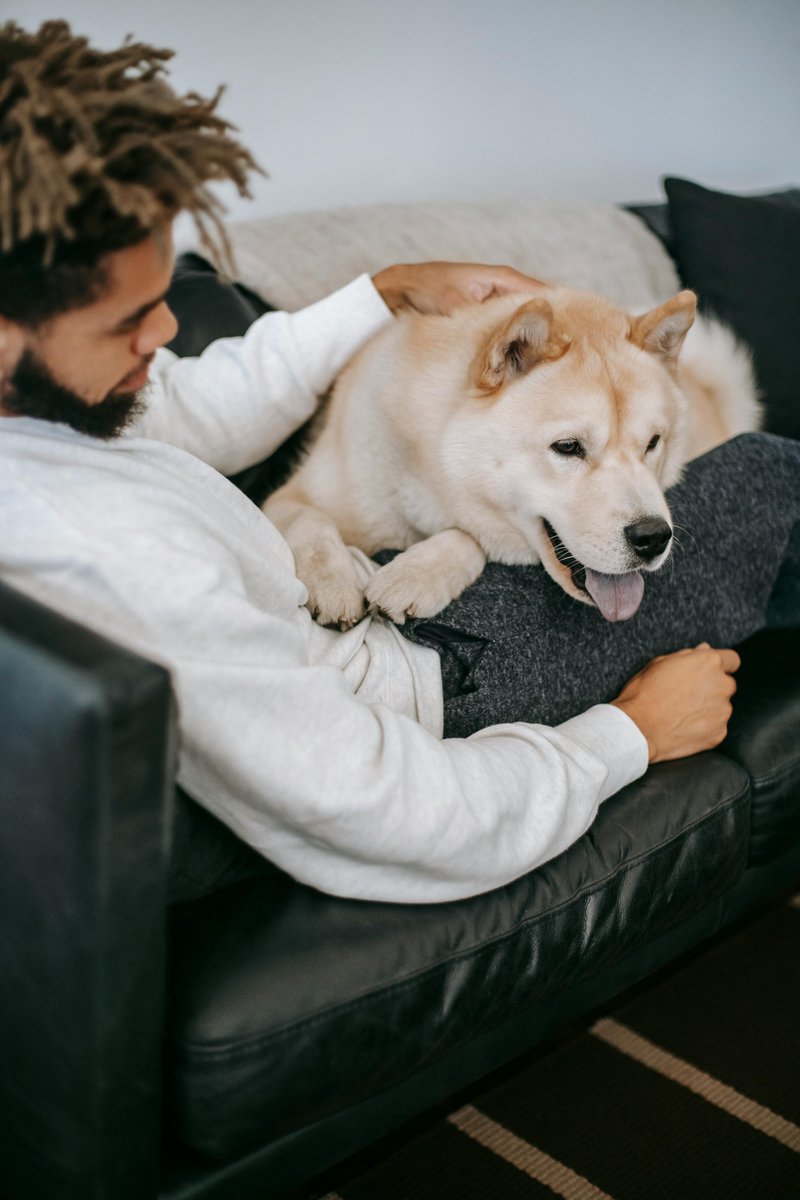 'Alright, my friends! Let's celebrate our four-legged buddies! Share a pic of your furry BFF and tell us why they're your ultimate partner-in-crime. Let's show some love for our loyal companions! Woof yeah!'

#mansbestfriend #dogsofinstagram #doglover #dogs #puppy #puppylove