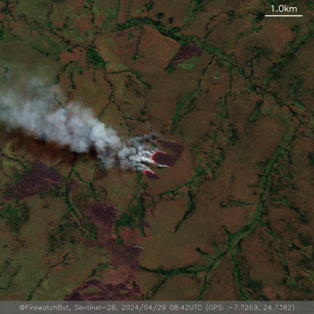 Fire detected from #Sentinel2

🗺 Place: Kamina, Haut-Lomami, #DemocraticRepublicoftheCongo
🕛 Date: 2024/04/29 08:42UTC

View location: maps.google.com/?q=-7.72691165… (-7.7269, 24.7382)