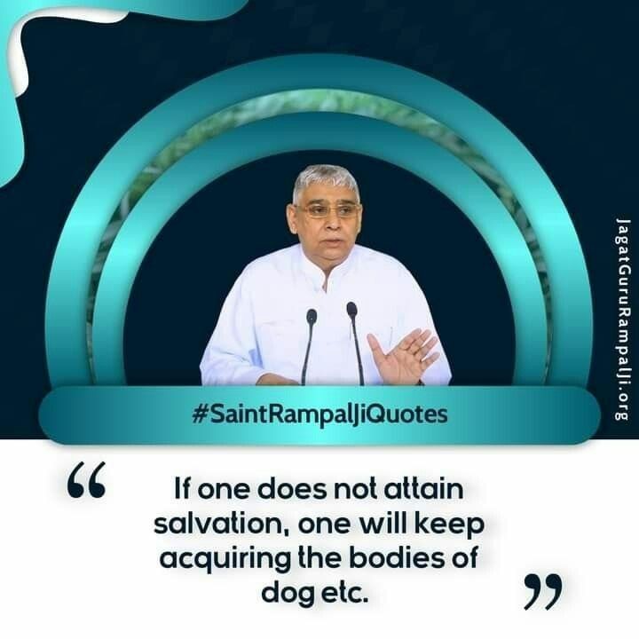 #GodMorningMondey
🪴🪴
' If one does not attain salvation, one will keep acquiring the bodies of dog etc. '
🙇 🙇 
#SantRampalJiQuotes
