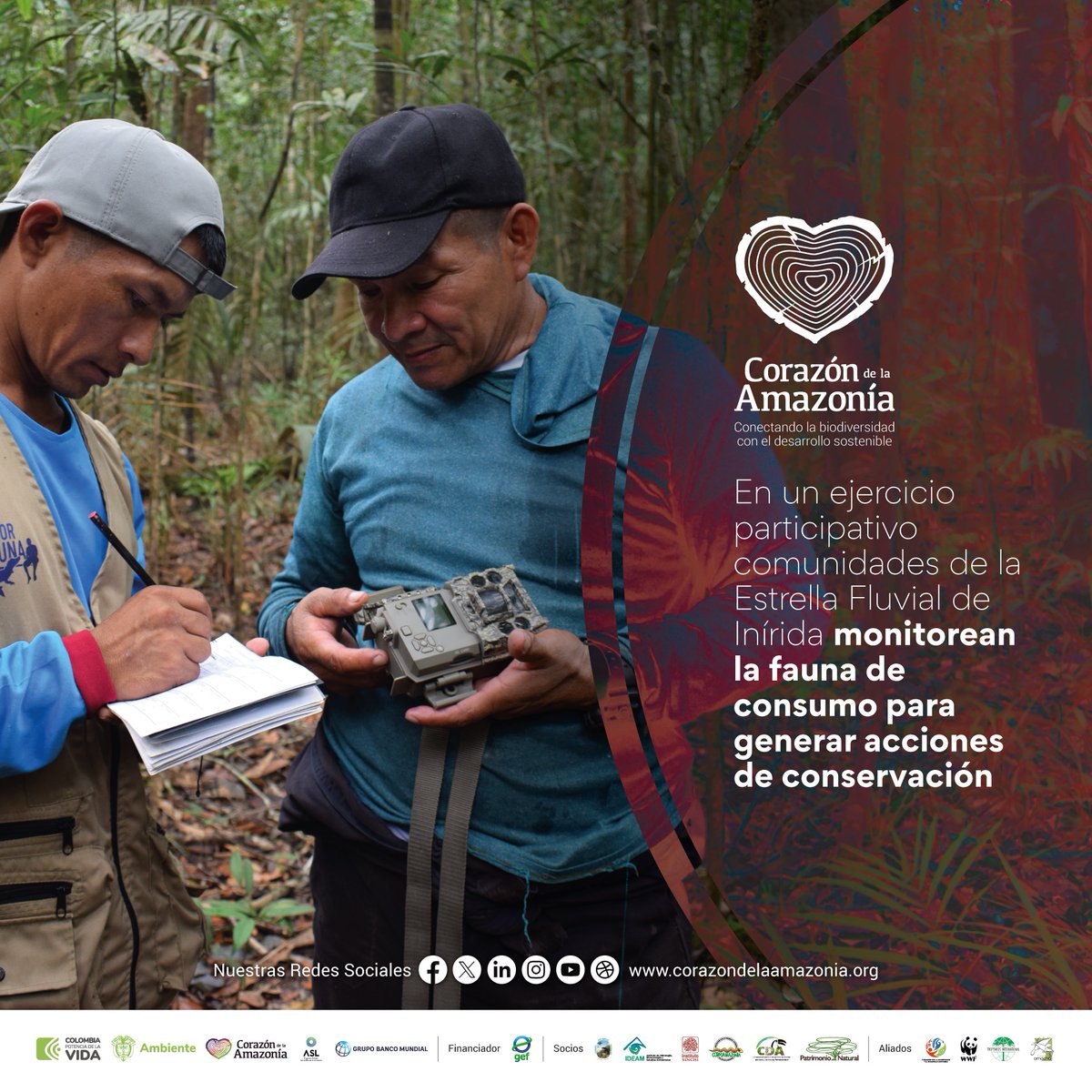 En un ejercicio participativo comunidades de la Estrella Fluvial de Inírida monitorean la fauna de consumo para generar acciones de conservación.
📰corazondelaamazonia.org/post/en-un-eje…