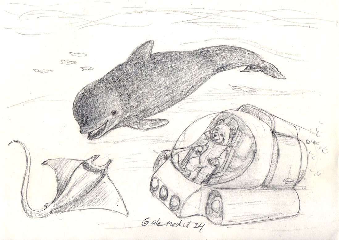 O is for Ocean. Sketch procrastinador. #AnimalAlphabets @AnimalAlphabets