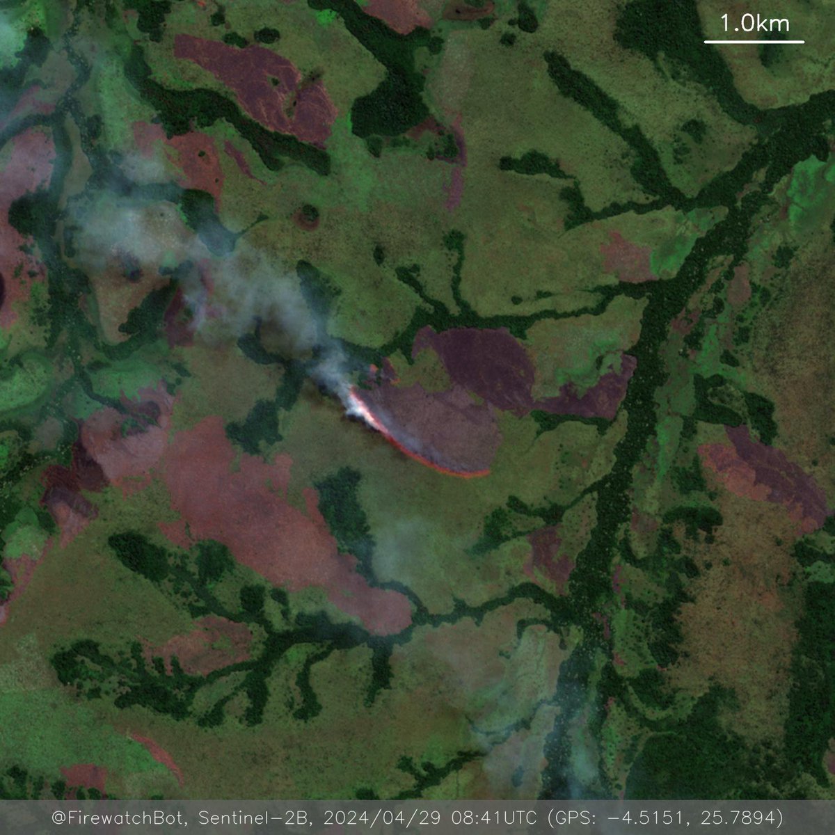 Fire detected from #Sentinel2

🗺 Place: Kibombo, Maniema, #DemocraticRepublicoftheCongo
🕛 Date: 2024/04/29 08:41UTC

View location: maps.google.com/?q=-4.51513371… (-4.5151, 25.7894)