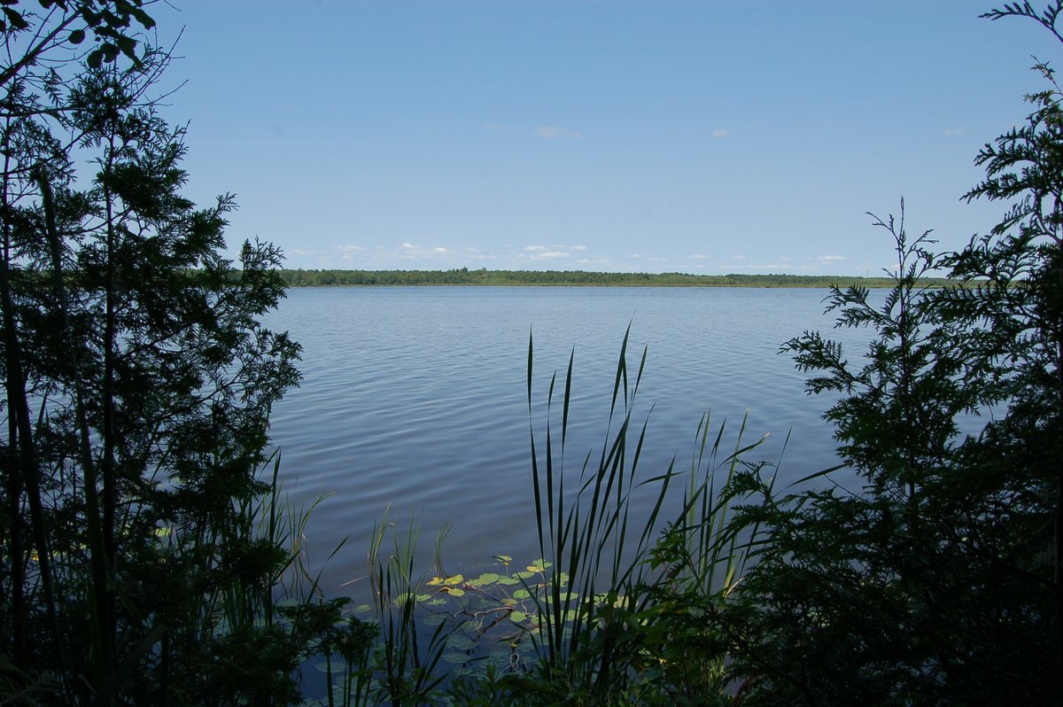 Located north of Brockville, just two kilometres from Highway 29, The Mac Johnson Wildlife Area consists of 532 hectares of wetland, field and forest for exploration and relaxation: ow.ly/5at550Fh8B0