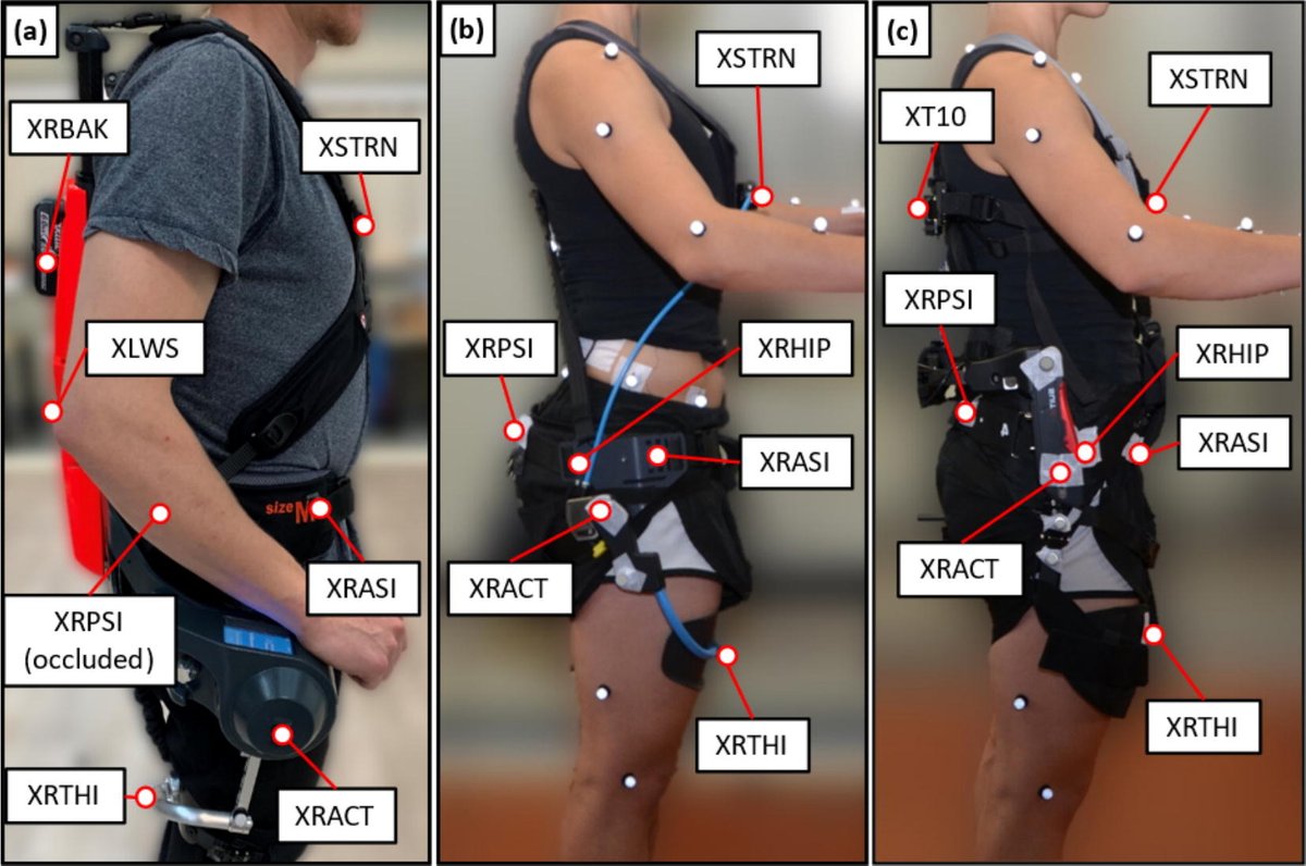 😃New article published in J Biomech!

'Biomechanical analysis of different back-supporting exoskeletons regarding musculoskeletal loading during lifting and holding', by Johns et al.

sciencedirect.com/science/articl…

#journalofbiomechanics
