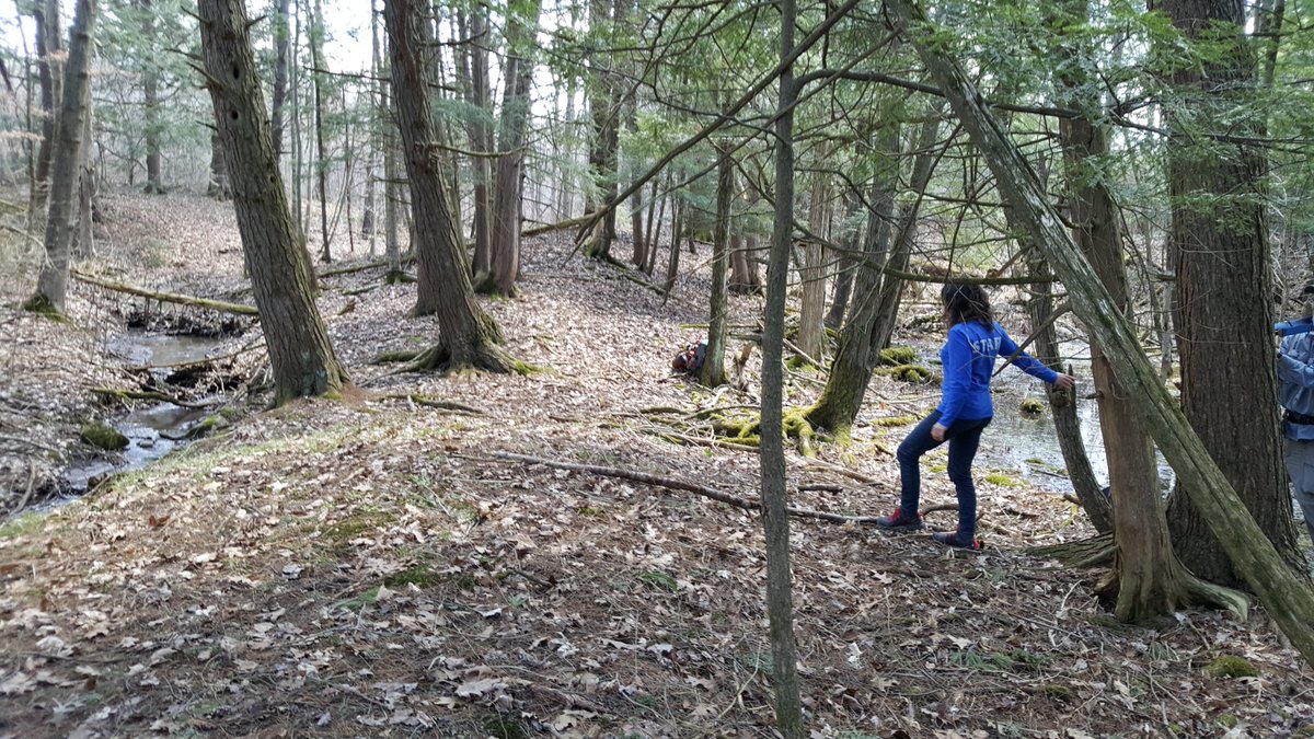 Cataraqui Conservation was the first conservation authority in Ontario to adopt a Forest Therapy Walk program. Learn more about this innovative and revitalizing activity: tinyurl.com/k9jnwujj