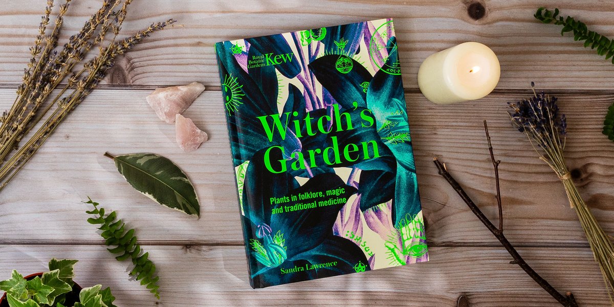 Channel the witch within you this #NationalGardeningWeek 🌿🧙‍♀️ Witch’s Garden is a compendium of 50 of the world’s most magical plants – from screaming mandrakes to the calming St John’s Wort - and it is the perfect gift for the gardener in your life.