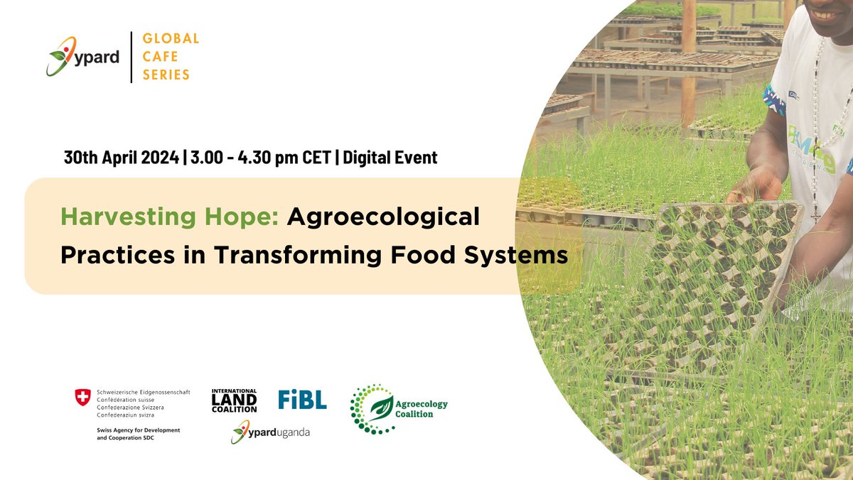 ☕️Join the next global cafe by @YPARD ! Learn: 👉how agroecological practices can contribute to building resilient and sustainable food systems 👉how to engage in agroecological practices, from educational opportunities to advocacy efforts buff.ly/3Un1xBk