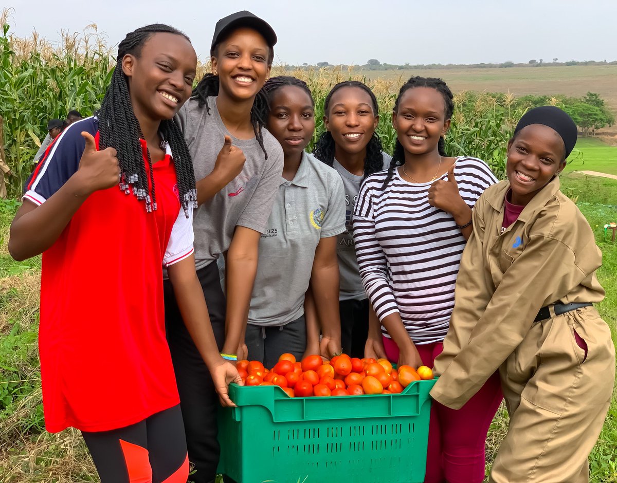 #Rwanda's agricultural conservation efforts are not just about safeguarding land; they're about securing livelihoods, preserving biodiversity, & nurturing sustainable futures. Let's cultivate a greener tomorrow together. Visit @RICA_Rwanda
🌱 #Rwanda #Conservation #Sustainability