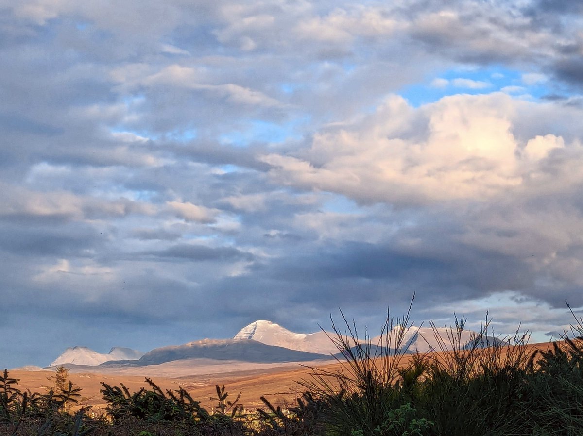 Yesterday's late afternoon luminosity. Beinn Alligin, over the garden hedge.