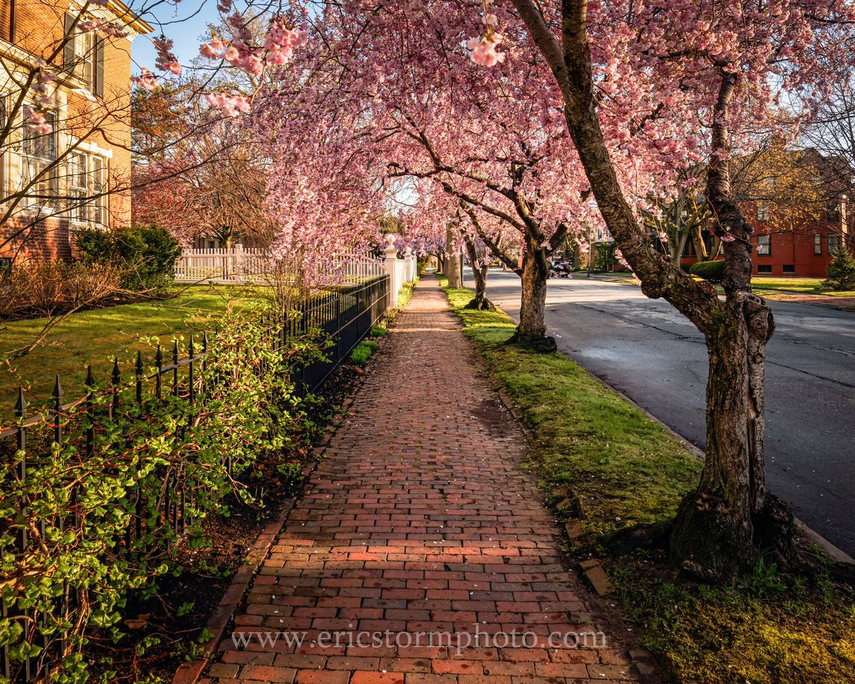 Spring has sprung on Portland’s West End 
.
#portland #maine #spring
@Ted_WMTW @ChristianWGME @colleenhurleywx @visitmaine @VisitPortland @MagazineofMaine