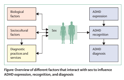 🚺🚹Ever wondered why females are less likely to be diagnosed with #ADHD in childhood than males? Check out this recent review by @joannamphd. pubmed.ncbi.nlm.nih.gov/38340761/ She discussed the role of biological, sociocultural and diagnostic practices and services