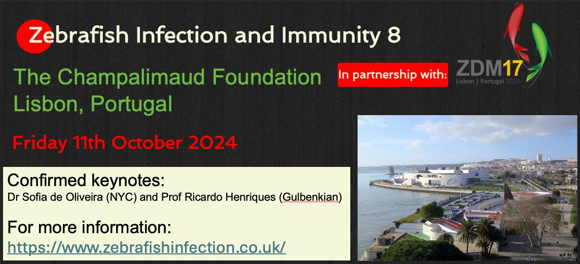 Zebrafish immunity enthusiasts! This year's Zebrafish Infection and Immunity Meeting (ZII8) will be held jointly with @ZDMSociety on 11th October 2024 in Lisbon, directly after ZDM17! Super keynotes, @sloliveira, @HenriquesLab and a focus on ECR talks. zebrafishinfection.co.uk