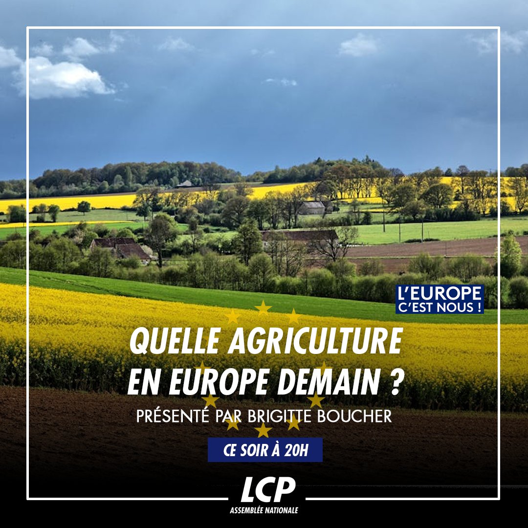 🇪🇺Dans la seconde partie de #LEuropeCNous, présenté par @boucherbrigit 👨‍🌾Quelle agriculture en Europe demain ? avec : 🔹@BenoitBiteau (Ecologiste) 🔹@JDecerle (RE) 🔹@AnneSanderElue (LR) 🔹@JulienOdoul (RN) 📺à 20h en direct sur LCP #PACS #agriculture #UE