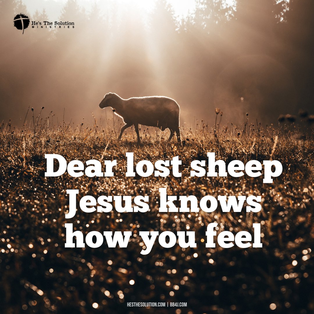 Feeling lost?  Jesus seeks us like a shepherd  (Luke 15:2). Be a beacon of hope! ✨ Share faith & love to spread the joy of finding Him. #LostAndFound #JesusLovesYou #SpreadTheJoy