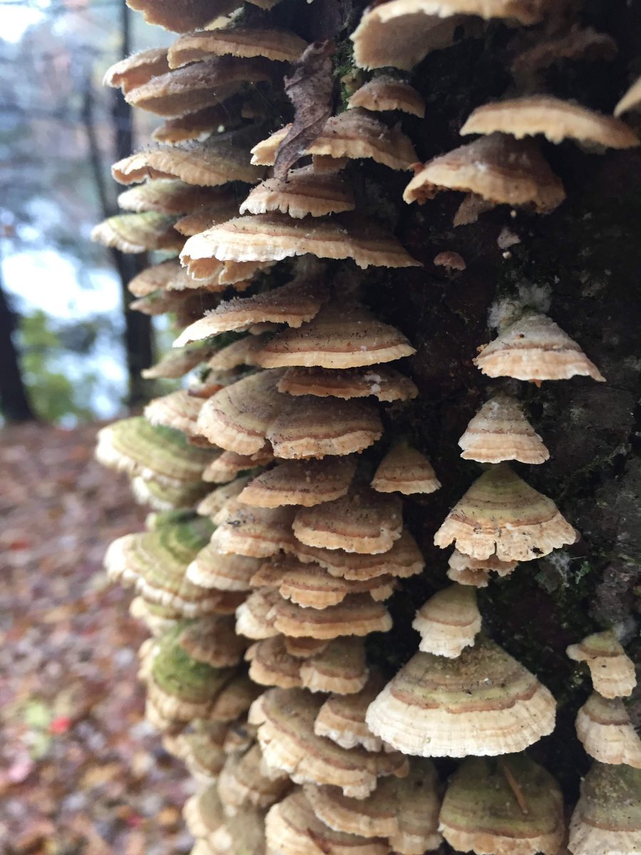 Post a picture YOU took. Just a pic. No description.