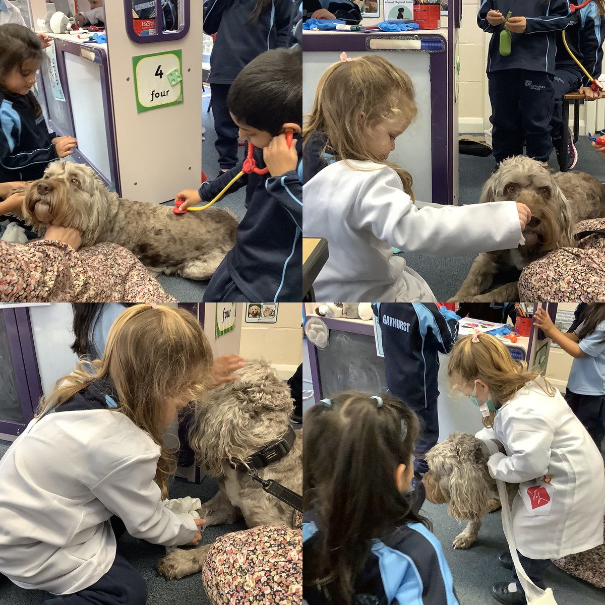 The Nursery children have a new home corner and today it was converted to become a vets. Humphrey the Headmaster's dog came for his health check, and as you can see, the check was very thorough! #HomeCorner #Nurseryimagination #DogsofGayhurst #SiblingSchool #ELDRIC @GayhurstHM