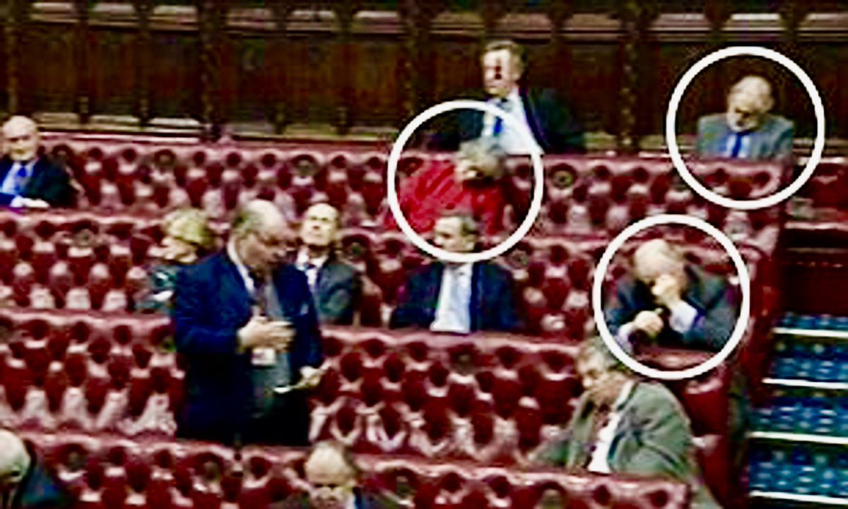 Imagine going to work and getting paid £350 a day to sleep …. is there such a job? 

Yep, House of Lords