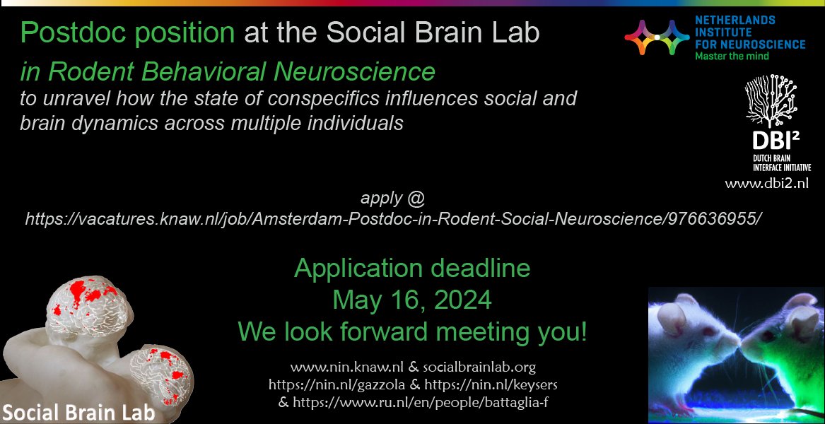 📢Looking for a #postdoc #reserach position in Rodent Social Neuroscience to reveal brain2brain circuits during social interactions in rodents? Deadline: May 16 2apply: vacatures.knaw.nl/job/Amsterdam-… @S4SNeuro #opportunity #cognitiveneuroscience #neuroscience