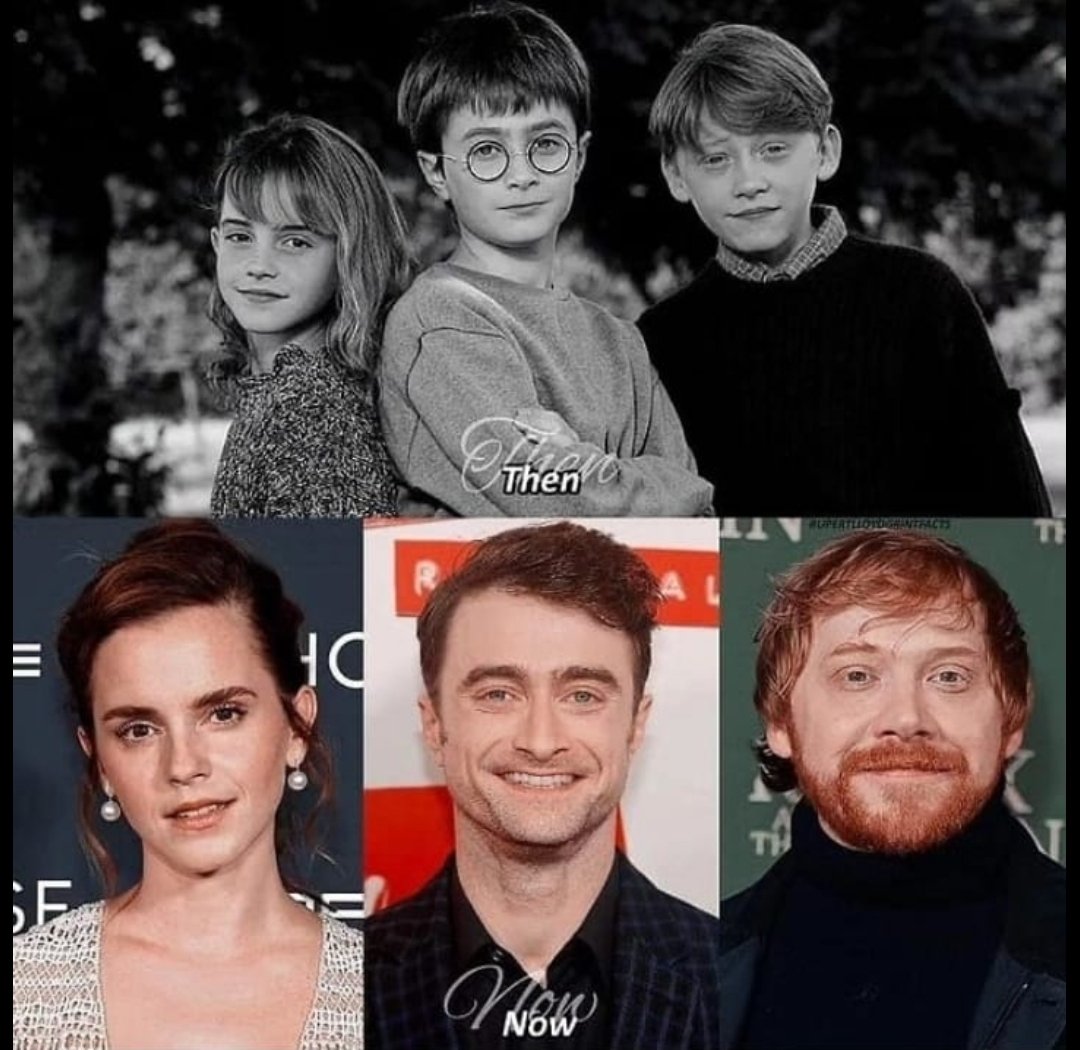 I was so glad to be part of their journey 🙂

#harrypotter #goldentrio