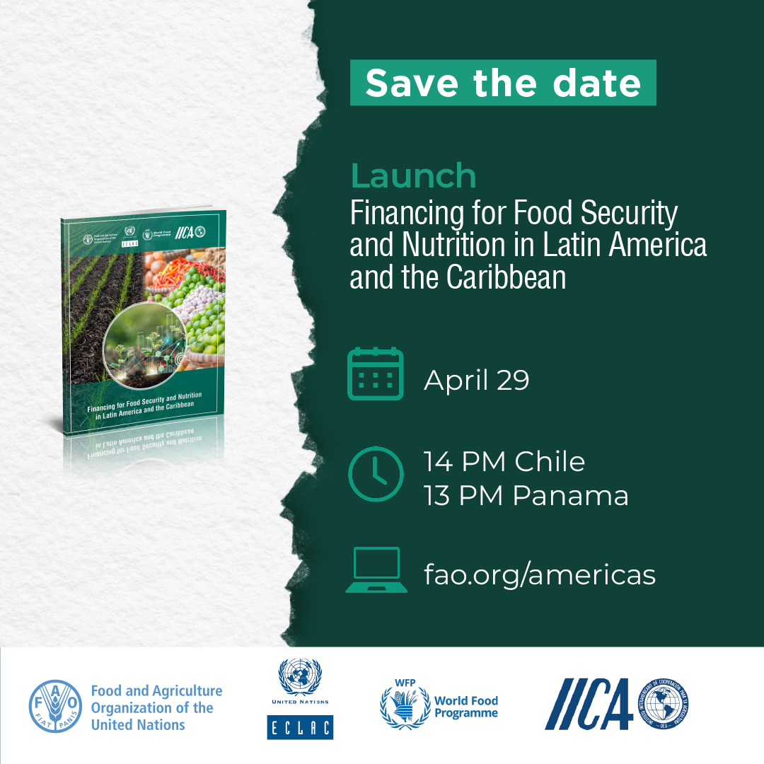 🔔 The crises and conflicts that have affected the world in recent times have challenged #FoodSecurity and nutrition in Latin America and the Caribbean. Follow the launch of the joint report by @FAOAmericas, @eclac_un, @WFP and @IICAnews. ➡️fao.org/americas/event…