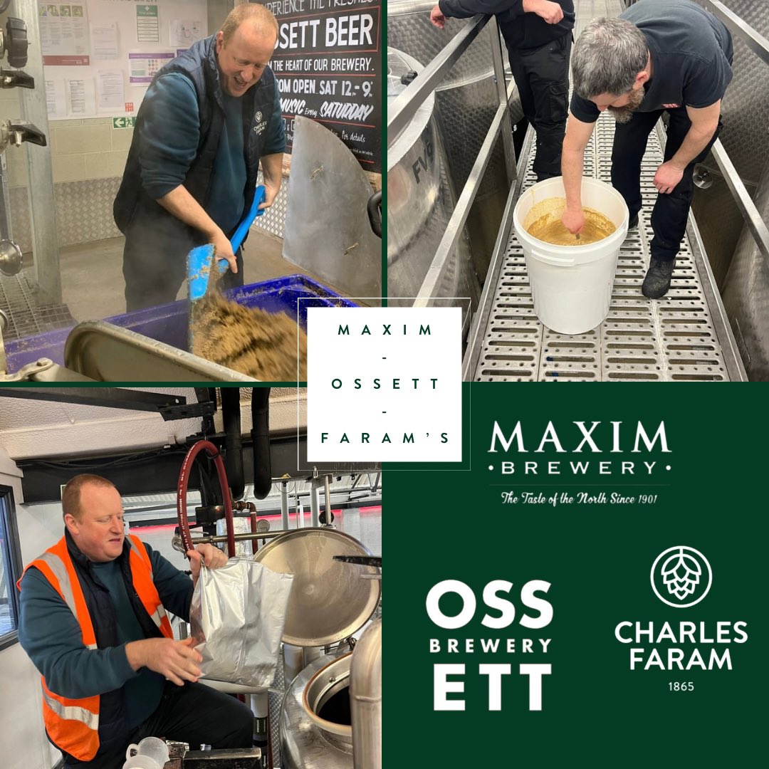 Last Friday’s collab brew session was🔥💚! Faram’s Will joined Ossett and Maxim Brewery to help brew ‘Maximum Sentence,’ an Amber Ale featuring our Godiva™️ hops and it included the brilliant Weyermann Melanoidin malt for a lovely red hue. #CollabBrew #friendsoffaram…