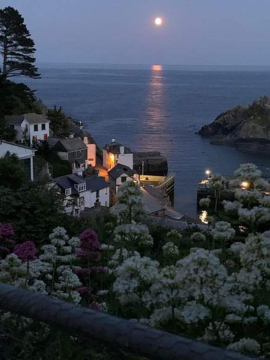 Good night 📷 Polperro, Cornwall, UK