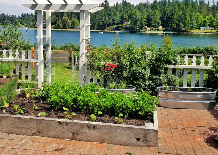 The arrival of Spring means that gardening season is here. Here’s some gardening mistakes to avoid🌱:
👉lakehomes.site/49SqHxt  

📷Shiplap and Shells

#gardening #gardeningtips #gardeningadvice #greenthumb #gardeningseason #homeowners #spring #springtime