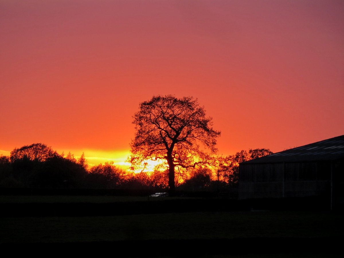 The lone tree last night with such a beautiful sunset sky! @StormHour @ThePhotoHour #loveukweather