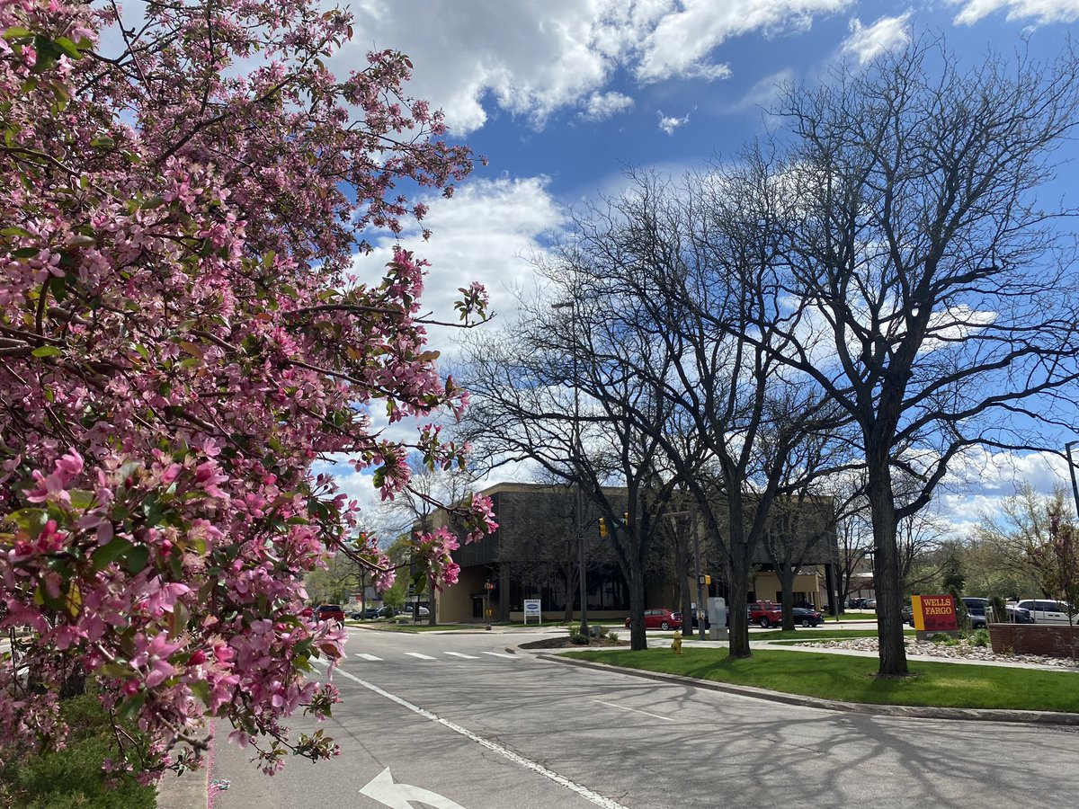 DougieVipond's tweet image. Finally a chance to wear those shorts I packed!!! Leaving Fort Collins, Colorado later today! #spring #numpty #checktheweather  #packaccordingly #cominghome