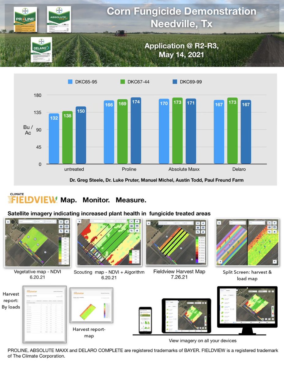ATodd2019's tweet image. In 2021, I worked on a plot in the upper Gulf Coast. Initially disease-free, rust heavily affected the untreated check post-application. Using Climate Fieldview to analyze, the data showed a remarkable 29 bushel increase over the untreated check. #AgricultureSuccess #RustControl