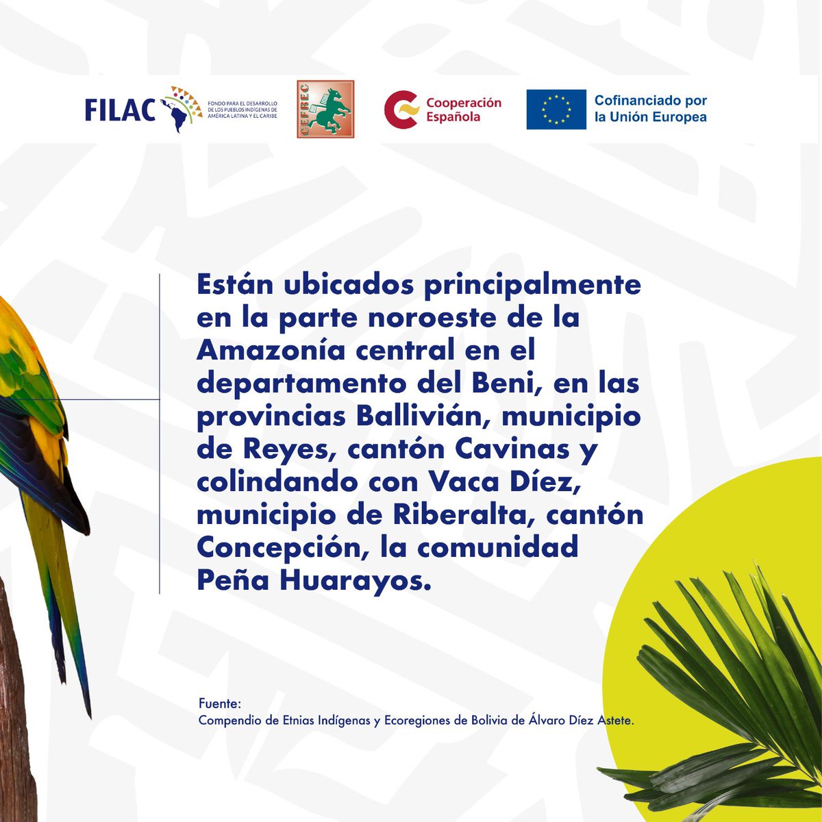 ¡Conoce al Pueblo Cavineño de la Amazonia boliviana! La ubicación primordial de este pueblo se encuentra en la zona noroeste de la Amazonía central, específicamente en el departamento del Beni. Se asienta en las provincias Ballivián, en el municipio de Reyes, y en el cantón…