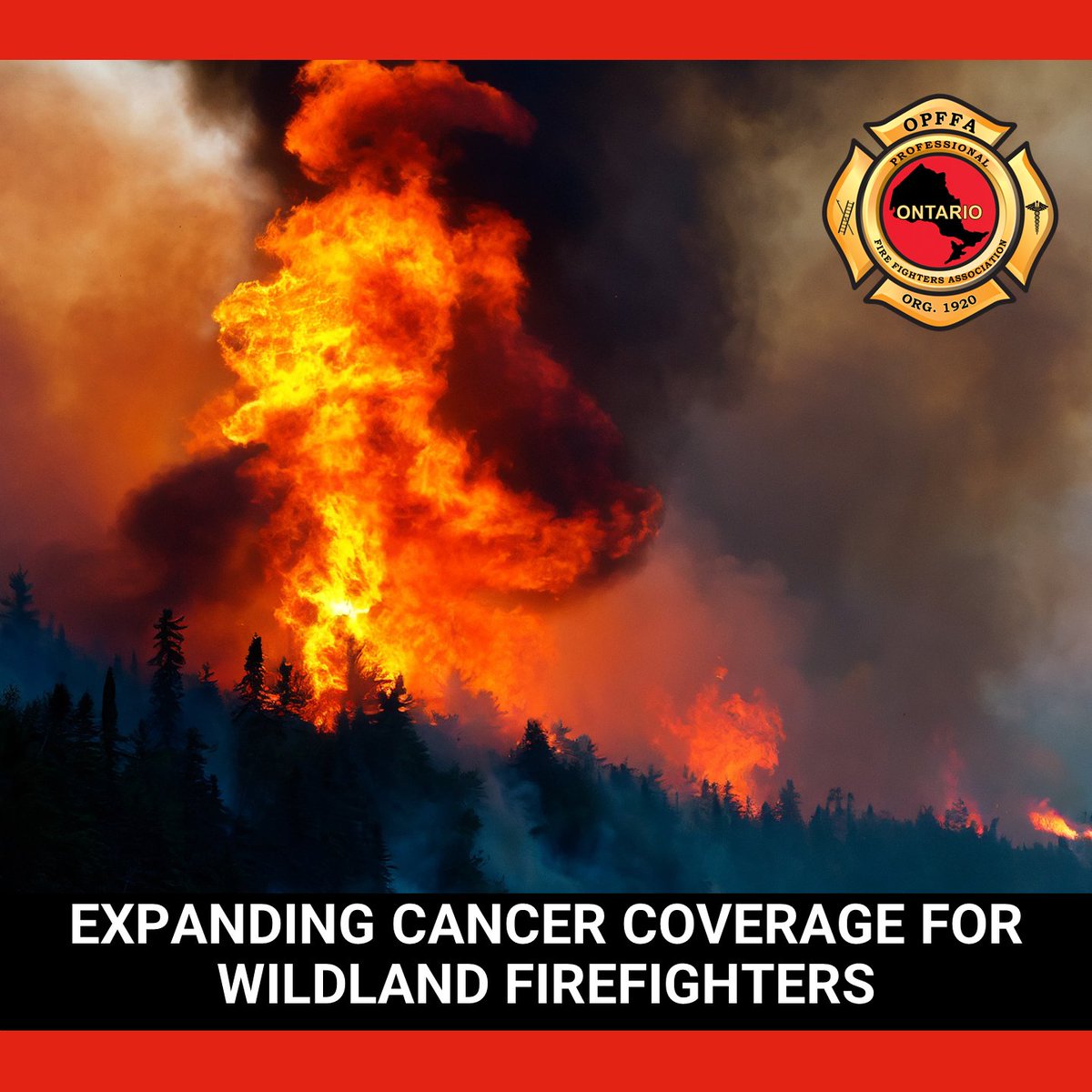 The #OPFFA applauds this #ONGov @fordnation @DavidPiccini @MPPKerzner for amending the presumptive legislation to include wildland firefighters. #Firefighters including wildland firefighters, face a higher risk of skin cancer due to sun exposure & potential carcinogen exposure.
