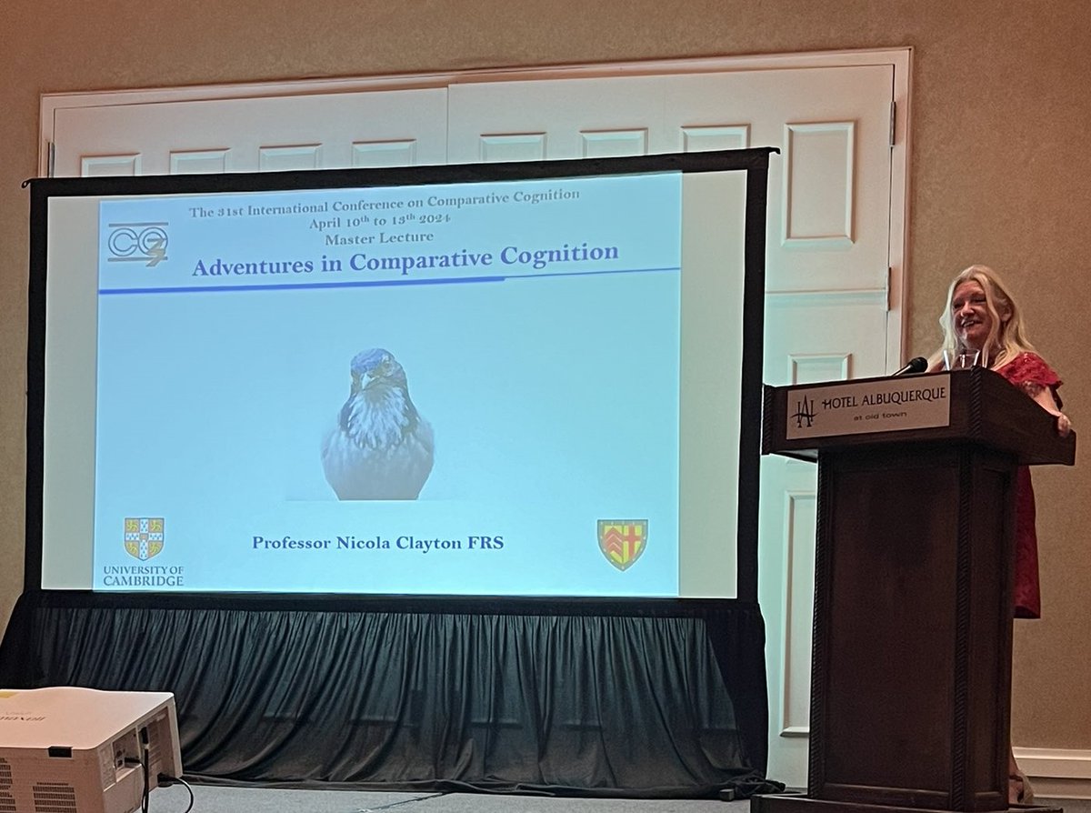 The wonderful @NickyClayton22's master lecture given at this year's #CO3_2024 is now available on our YouTube channel . Deeply inspiring to anyone interested in animal behaviour🐦‍⬛Watch 'Adventures in Comparative Cognition' here: youtube.com/watch?v=mNf3CF…