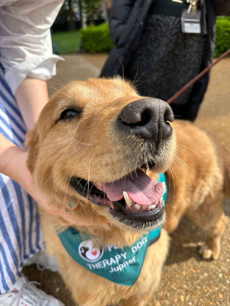 Thanks again to Jupiter and his handler, Linda, for visiting us last week! Our Baer scholars Charlotte and Natalie organized this event for their semester project to encourage the community to take a study break and visit our museums. We hope to have Jupiter back soon!